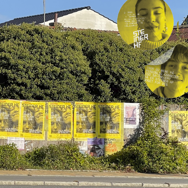 pics portfolio Steiner HF_2